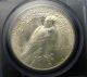 1923 Peace Silver Dollar Pcgs Ms 64 White Dollars photo 3