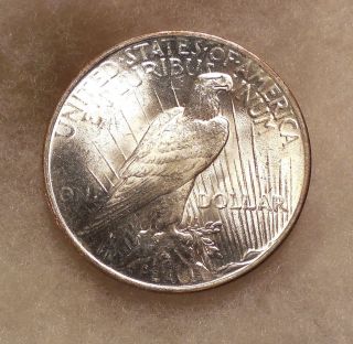 1923 - P Peace Silver Dollar - Pretty B.  U.  Coin photo