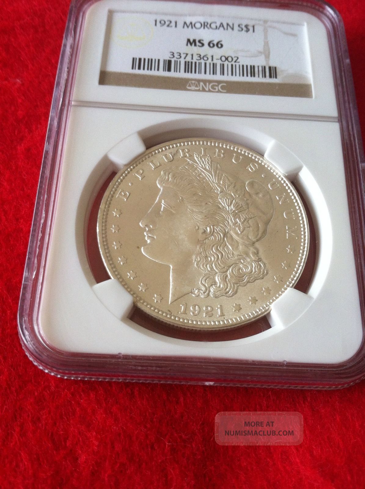 1921 $1 Morgan Silver Dollar Ms66 Ngc Brilliantwhiteverynicelookingcoin.