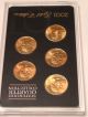2001 State Quarters 24k Gold Plated Uncirculated Quarters photo 1