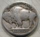 1923 Buffalo Nickel In Nickels photo 1