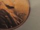 1c91 1958 D Lincoln One Cent Coin Uncirculated Estate Money Collectable Small Cents photo 2