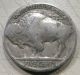 1929 Buffalo Nickel In Nickels photo 1