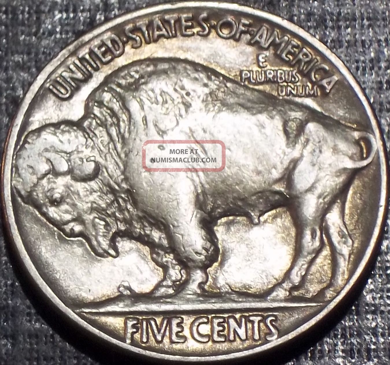 Rare 1936 P Buffalo Nickel Full Date Full Horn Quality Coin 15 rare-1936-p-buffalo-nickel-full-date-full-horn-quality-coin-15