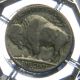 Very Good 1929 - S Indian Head (buffalo Nickel). .  8346 Nickels photo 1