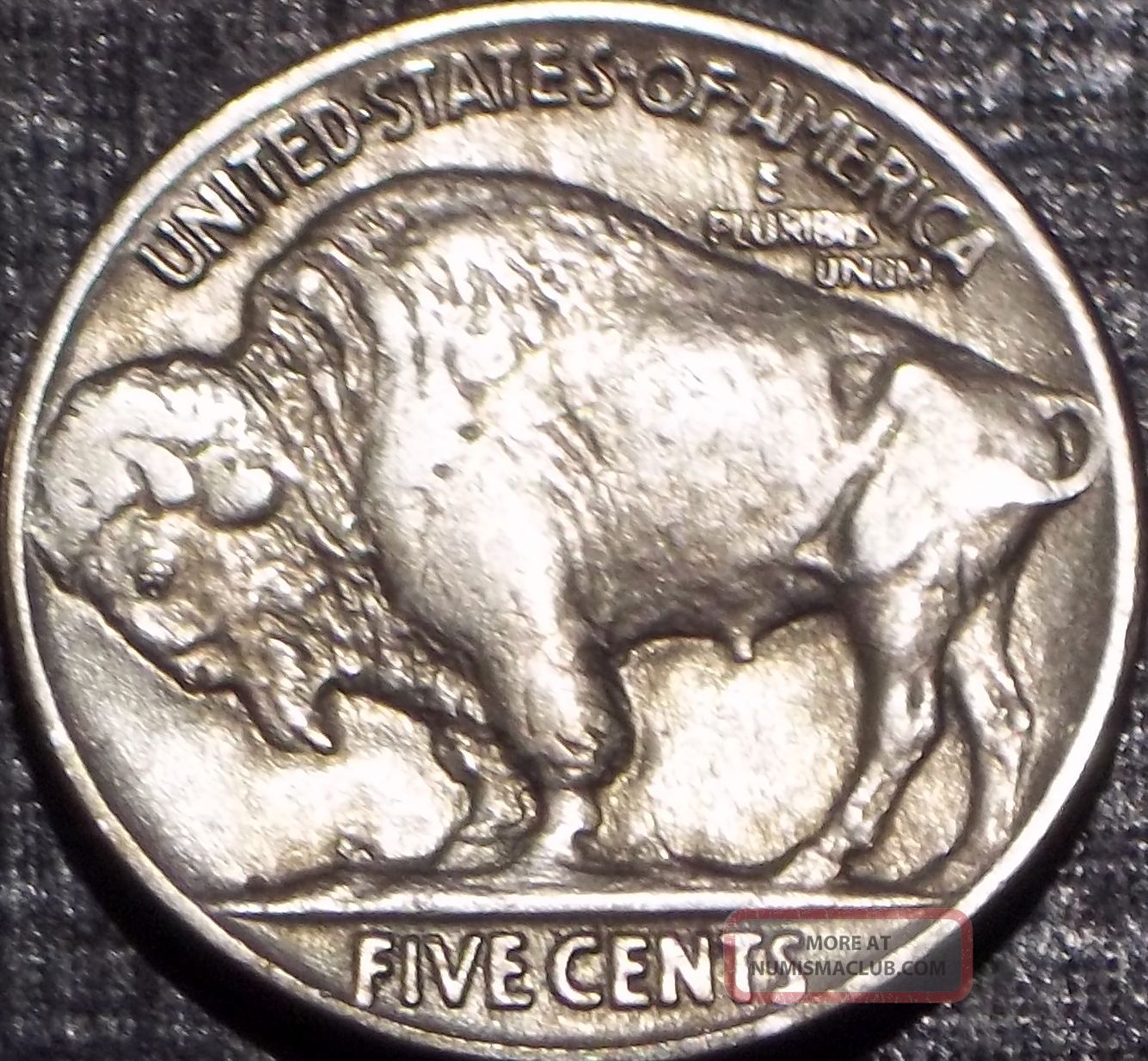 Rare 1935 P Buffalo Nickel Full Date + Full Horn Quality Coin Lqqk
