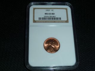 1957 Cent Ngc Ms 65 Rd - Great Slabbed Coin photo