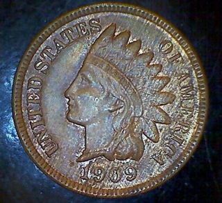1909 Indian Head Cent Key Date Coin 1c Bronze Ms Unc Rd photo