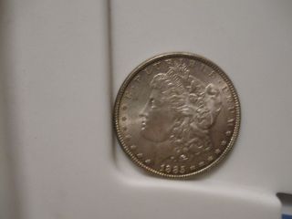 1885 - P Morgan Dollar (great Detail) photo