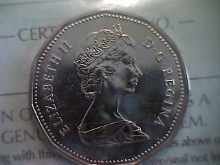1989 Canada Loon Dollar Ms67 (nbu) Iccs photo