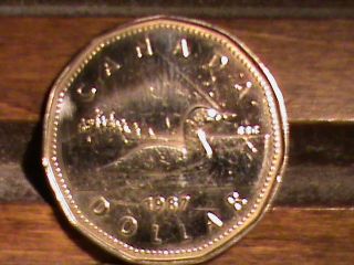 1987 $1 Loon Canada Dollar photo