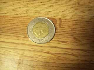1996 Canadian 2 Dollar Coin (qeii On Front & Bear On Back) Circulated photo