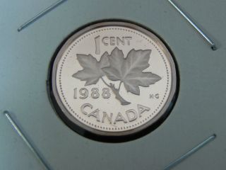 1988 Proof Unc Canadian Canada Maple Leaf Elizabeth Ii Penny One 1 Cent photo