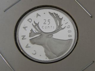 1988 Proof Unc Canadian Canada Caribou Quarter Twenty Five 25 Cent photo