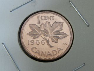 1966 Pl Unc Red Canadian Canada Maple Leaf Elizabeth Ii Penny One 1 Cent photo