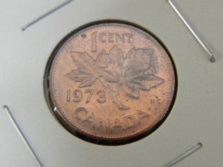 1973 Au Circulated Canadian Canada Maple Leaf Elizabeth Ii Penny One 1 Cent photo