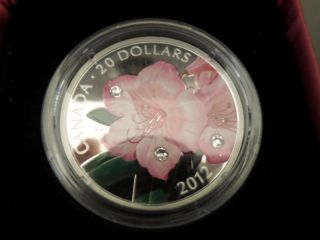 2012 Canada $20 Fine Silver Coin Rhododendron Crystal Dew Drop photo