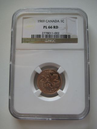 1969 Canada 1c Proof - Like Penny - Ngc Certified Pl66 Red - Tied 2nd Highest photo