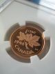 1998 Canada 1 - Cent - Proof Finish - Ngc Graded Pf69 Rd Ultra Cameo Coins: Canada photo 2