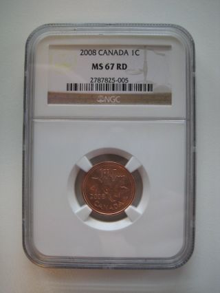 2008 Canada 1 - Cent - Copper Plated Steel - Magnetic - Ngc Ms67 Red photo