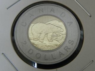 2010 Specimen Unc Canadian Canada Polar Bear Toonie Two $2 Dollar photo
