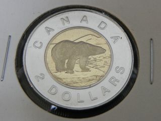 1997 Specimen Unc Canadian Canada Polar Bear Toonie Two $2 Dollar photo