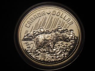 1980 Silver Canada Dollar Bear On Reverse 50% Silver Spec.  Issue photo