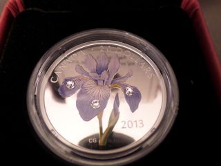 2013 Canada $20 Fine Silver Coin Blue Flag Iris Crystal Raindrop photo