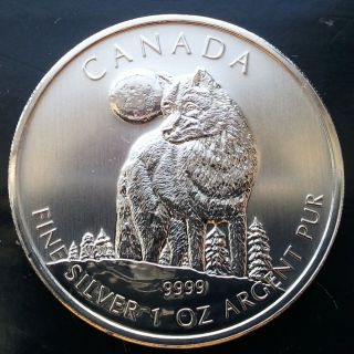 2011 1 Oz Silver Timber Wolf Canadian Wildlife Series Canada $5 Coin.  T155 photo