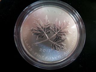 2011 Canada Maple Leaf Forever - 1/2 Oz Fine Silver Coin photo