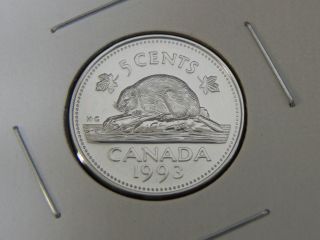1993 Bu Pl Unc Canadian Canada Beaver Elizabeth Ii Nickel Five 5 Cent photo