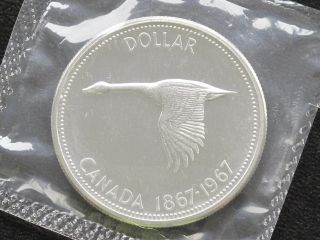 1967 Canada Dollar Elizabeth Ii 80% Silver Proof - Like Coin D0618 photo