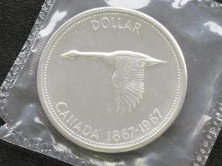 1967 Canada Dollar Elizabeth Ii 80% Silver Proof - Like Coin D0619 photo