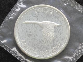 1967 Canada Dollar Elizabeth Ii 80% Silver Proof - Like Coin D0621 photo