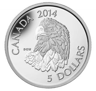 2014 Canada 1/10th Oz 99.  95% Platinum Coin $5 Bald Eagle photo