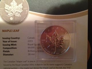 2013 F15 Canada - 1oz Silver Maple Leaf - 034 photo