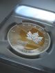 2013 Canada $5 Silver Maple Leaf - 25th Anniversary Proof - Gilt - Ngc Pf68 Coins: Canada photo 1