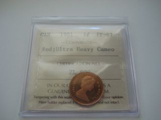 1981 Canada 1c Penny - Iccs Certified Pf67 Ultra Heavy Cameo photo