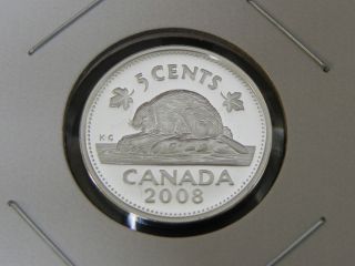 2008 Silver Proof Canadian Canada Beaver Elizabeth Ii Nickel Five 5 Cent photo
