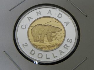 2008 Silver & Gold Proof Canadian Canada Polar Bear Toonie Two $2 Dollar photo