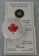 2013 Canada $20 Dollars Maple Leaf Impression Enamel 9999 Silver 213 /10000 Coins: Canada photo 1