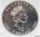 1999 - 2000 $5 Canada Silver Maple Leaf 4 Coin Group - 1 Oz.  9999 Fine Silver Unc Coins: Canada photo 3