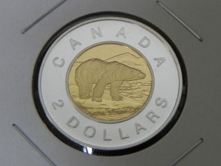 2000 Silver & Gold Proof Canadian Canada Polar Bear Toonie $2 Dollar Key Date photo
