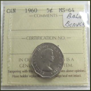 Canada 1960 5 Cents Coin Iccs Ms - 64 Error Variety Bald Beaver photo