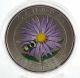 Canada 2013 Aster & Bee Specimen With Full Color 25 - Cent Coin Mintage 20,  000 Coins: Canada photo 2