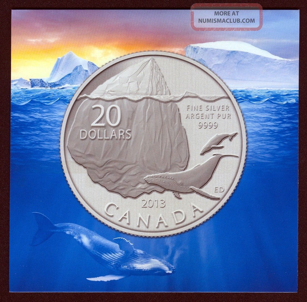 2013 Canada Twenty Dollar ($20) 99.  99% Pure Fine Silver Coin W/ Iceberg & Whale Coins: Canada photo