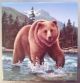 2014 Canada One Hundred Dollar ($100) 99.  99% Pure Fine Silver Coin – The Grizzly Coins: Canada photo 1