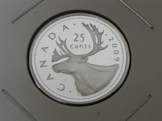 2009 Silver Proof Unc Canadian Canada Caribou Quarter Twenty Five 25 Cent photo