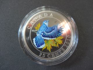 Rcm 2010 25 - Cent Coloured Coin - Blue Jay Birds Of Canada photo