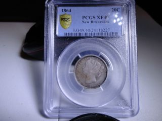1864 Brunswick 20 Cent Coin Graded Pcgs Xf 40 photo